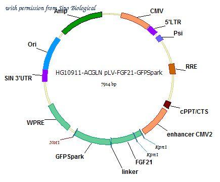 Sino Biological HG10911-ACGLN image 1