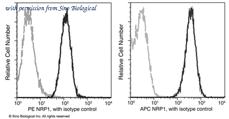 Sino Biological 10011-MM01-A image 1