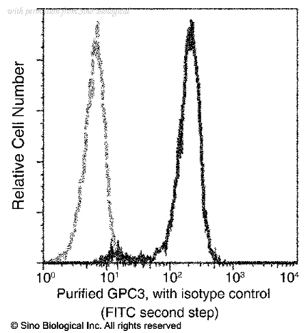 Sino Biological 100393-R024 image 1