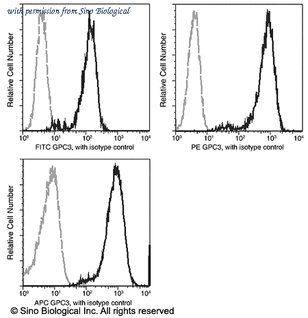 Sino Biological 100393-R024-A image 1