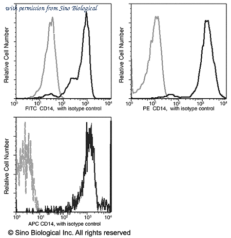 Sino Biological 10073-MM06-A image 1