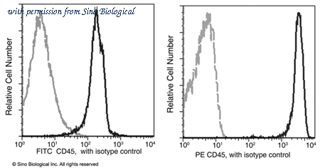 Sino Biological 10086-MM05-P image 1