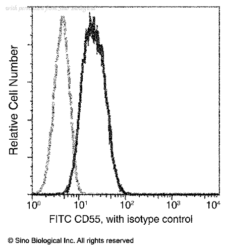 Sino Biological 10101-MM04-F image 1