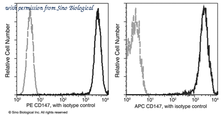 Sino Biological 10186-MM08-P image 1