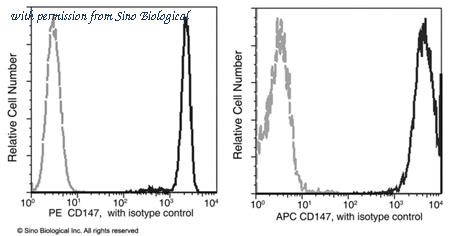 Sino Biological 10186-R125-A image 1