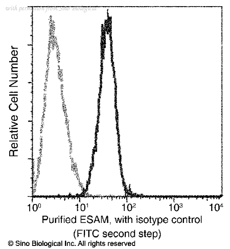 Sino Biological 10187-R113 image 1