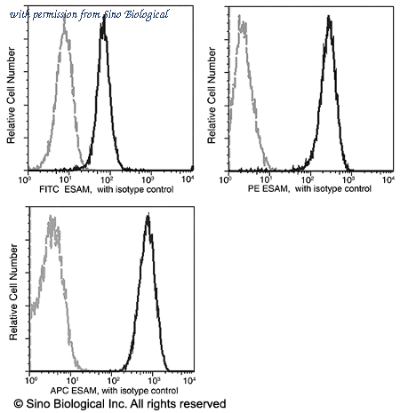 Sino Biological 10187-R113-A image 1