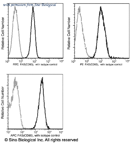 Sino Biological 10217-MM10-A image 1