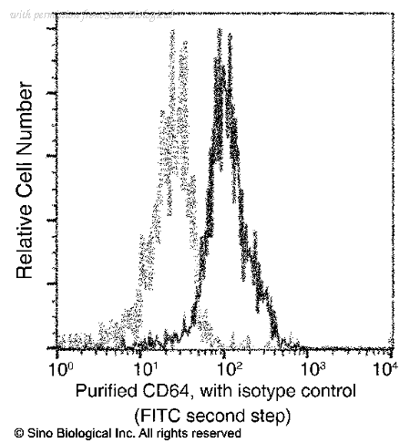 Sino Biological 10256-R407 image 1