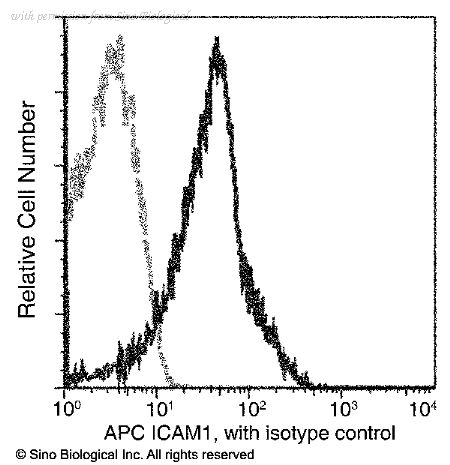 Sino Biological 10346-MM01-A image 1