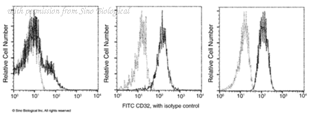 Sino Biological 10374-MM01-F image 1