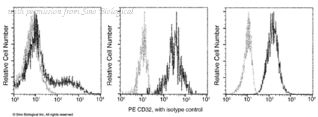Sino Biological 10374-MM01-P image 1