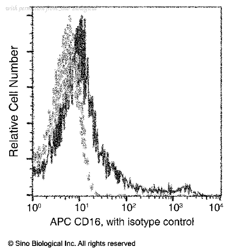 Sino Biological 10389-MM22-A image 1