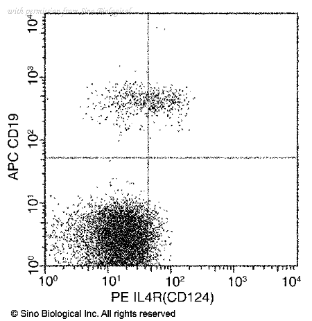 Sino Biological 10402-R209-P image 1