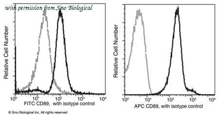 Sino Biological 10414-MM02-A image 1