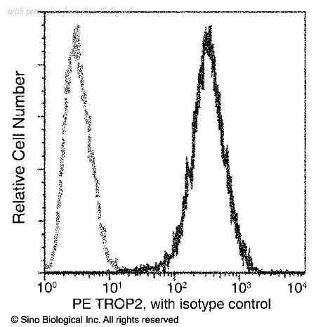 Sino Biological 10428-MM01-P image 1