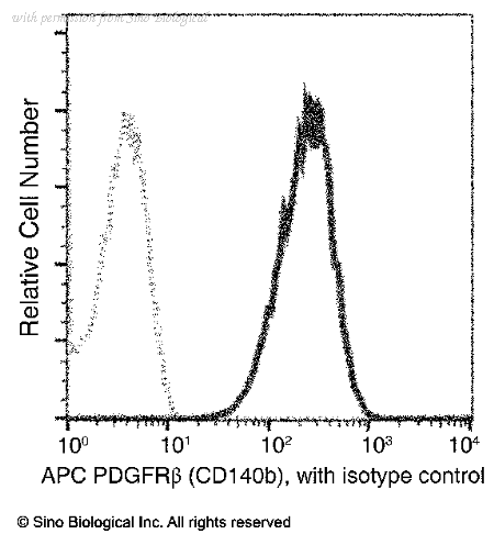 Sino Biological 10514-R206-A image 1