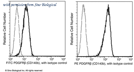 Sino Biological 10514-R206-P image 1
