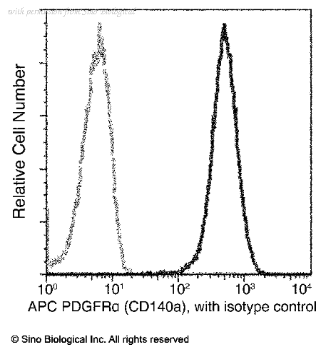Sino Biological 10556-MM02-A image 1