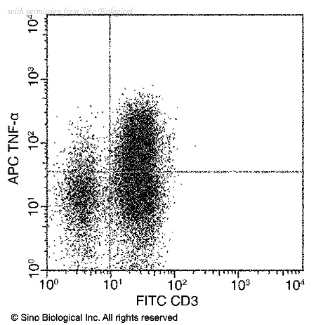 Sino Biological 10602-R101-A image 1