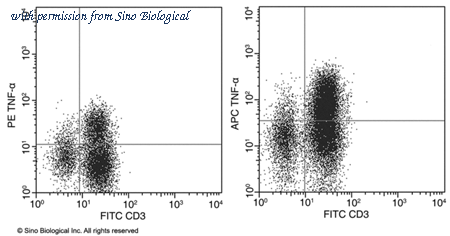 Sino Biological 10602-R101-P image 1