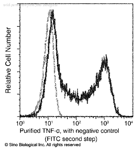 Sino Biological 10602-R10N1 image 1