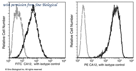 Sino Biological 10617-MM07-P image 1
