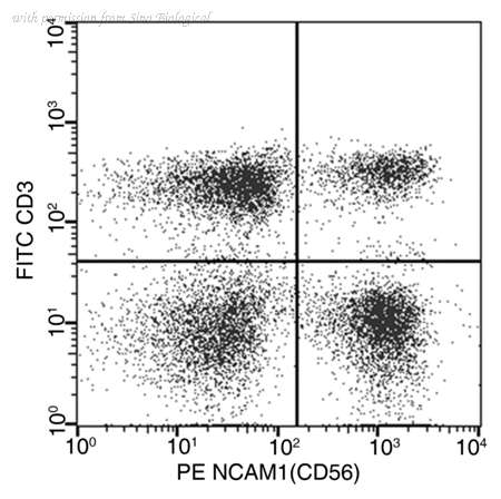 Sino Biological 10673-MM05-P image 1