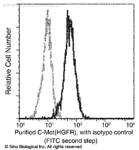 Sino Biological 10692-R271 image 1