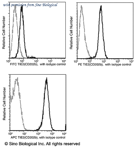 Sino Biological 10700-MM07-A image 1