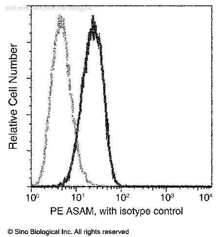 Sino Biological 10794-MM05-P image 1