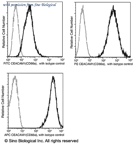 Sino Biological 10822-MM02-A image 1