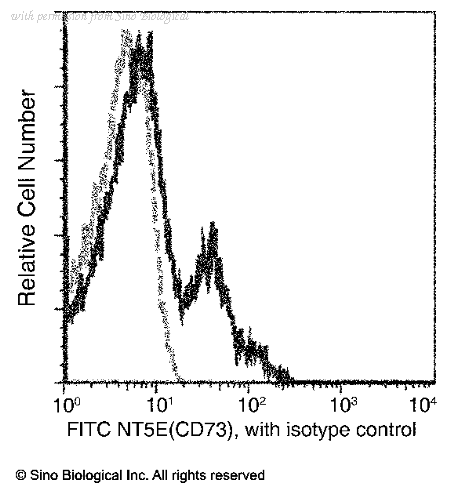 Sino Biological 10904-MM07-F image 1