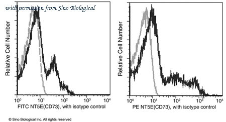 Sino Biological 10904-MM07-P image 1