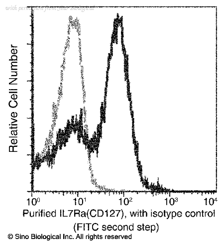 Sino Biological 10975-R001 image 1