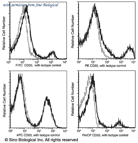Sino Biological 11007-R001-A image 1