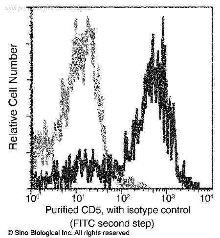 Sino Biological 11027-R028 image 1