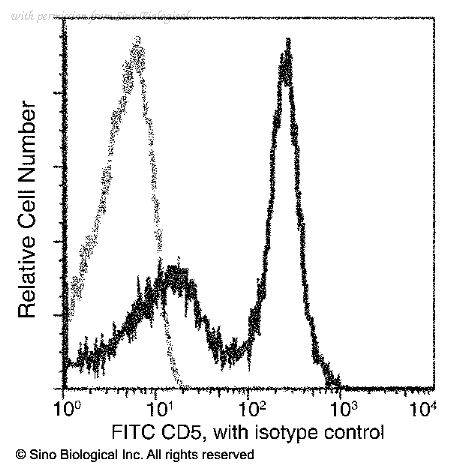 Sino Biological 11027-R039-F image 1