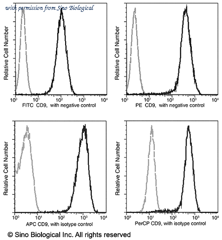 Sino Biological 11029-MM01-C image 1