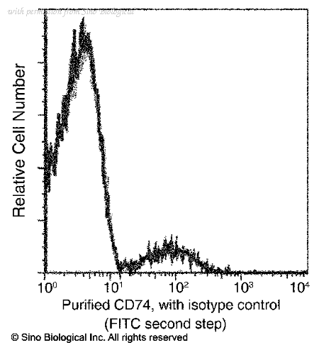 Sino Biological 11091-M101 image 1