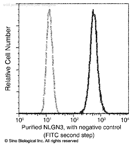 Sino Biological 11160-R242 image 1