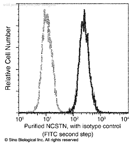 Sino Biological 11183-R002 image 1