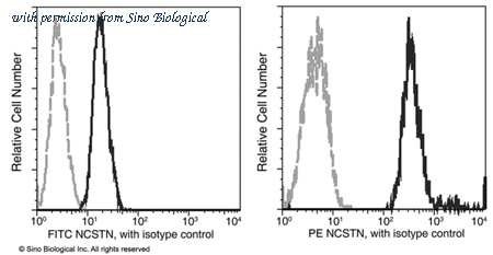 Sino Biological 11183-R002-F image 1