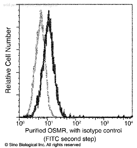 Sino Biological 11226-R002 image 1