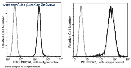Sino Biological 11257-MM03-P image 1