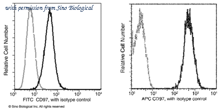 Sino Biological 11280-MM03-A image 1
