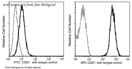 Sino Biological 11280-R024-A image 1