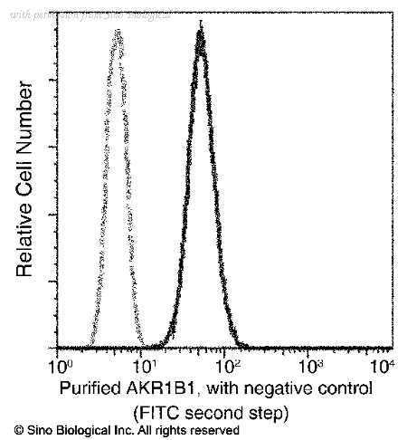 Sino Biological 11294-R101 image 1