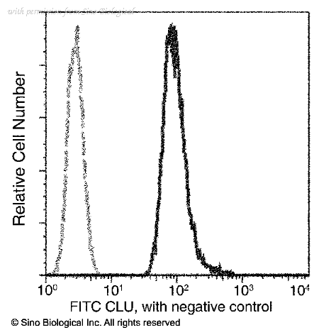 Sino Biological 11297-R013-F image 1