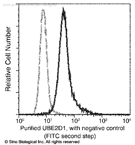 Sino Biological 11432-MM07T image 1